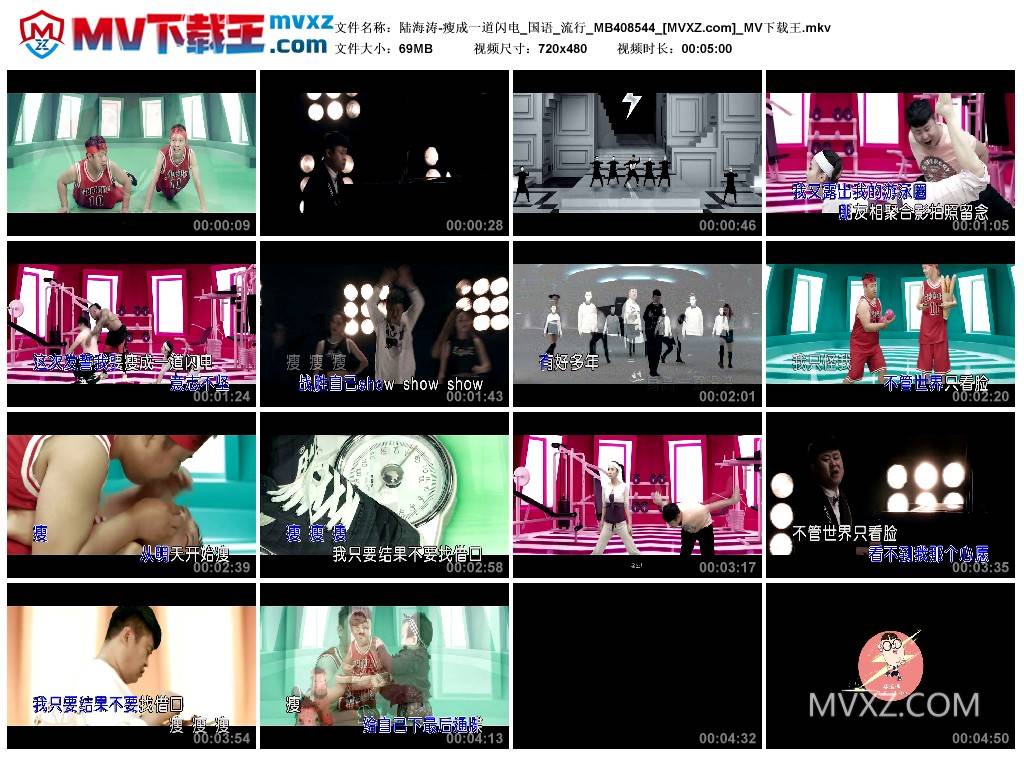 陆海涛-瘦成一道闪电_国语_流行_MB408544